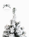 Snow Flocked Christmas Tree